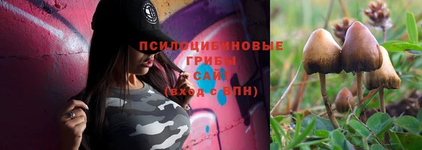 круглые Новодвинск